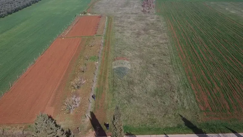 Non-structural plot Dračevac, Poreč, 9.776m2 – 3