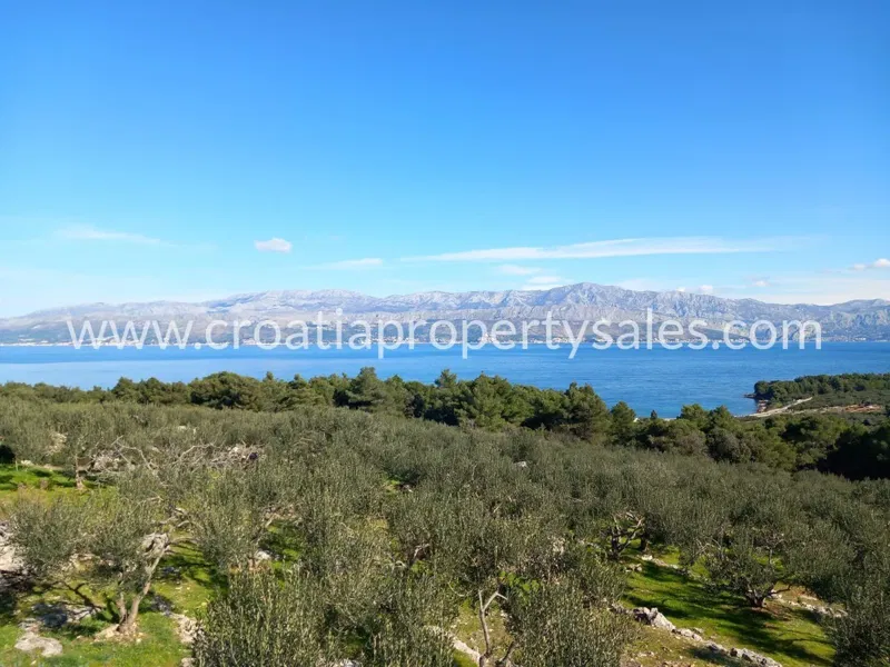 Brac, agricultural land for sale, 280.000 € – 2