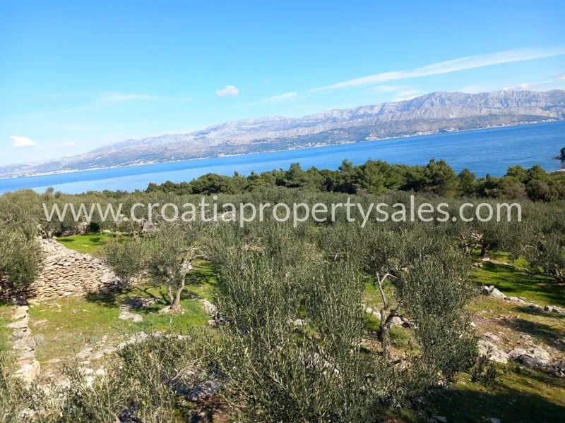 Brac, agricultural land for sale, 280.000 € – 3