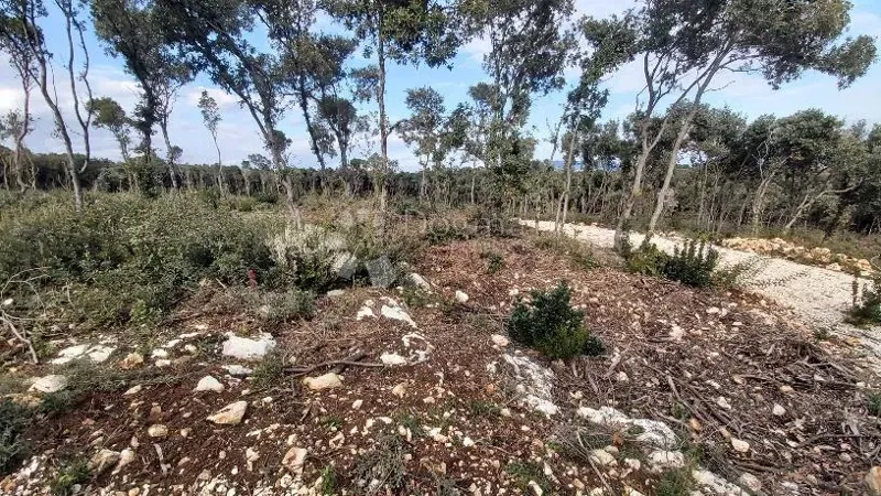Land Kavran, Marčana, 400m2 – 2