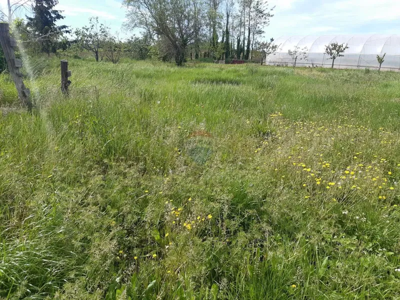 Building plot Labinci, Kaštelir-Labinci, 796m2 – 2