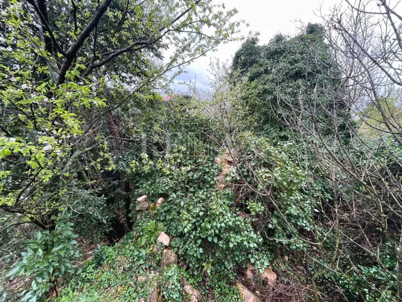 Terreno Bribir, Vinodolska Općina – 3