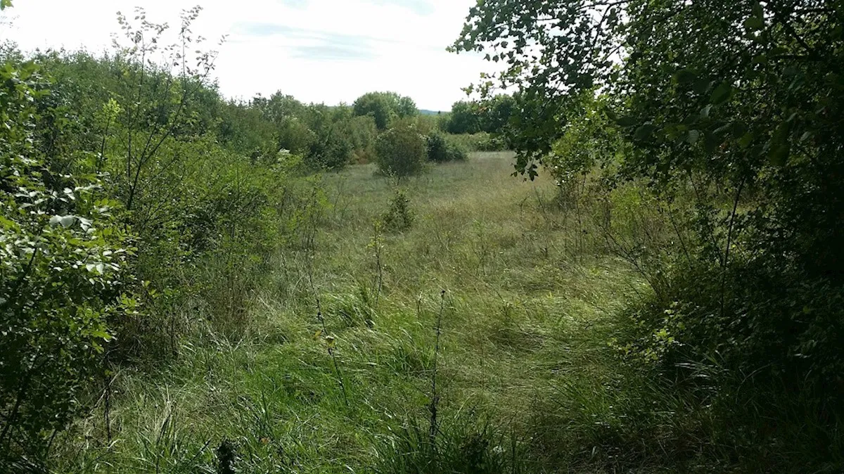 Labin, građevinsko zemljište u predgrađu