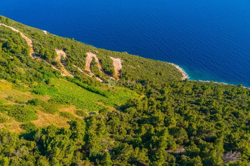 Poljoprivredno zemljište, Prvi red do mora-Dingač,Pelješac