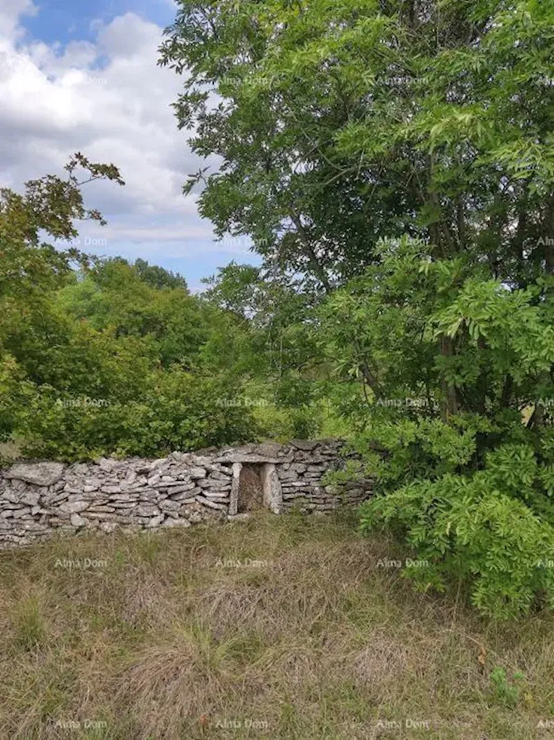 Building land, Filipana. – 3