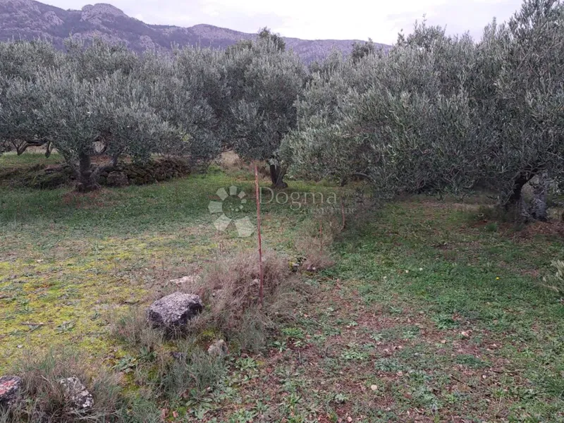 Land Hvar, 48.000m2 – 2