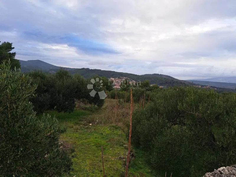 Land Hvar, 48.000m2 – 3