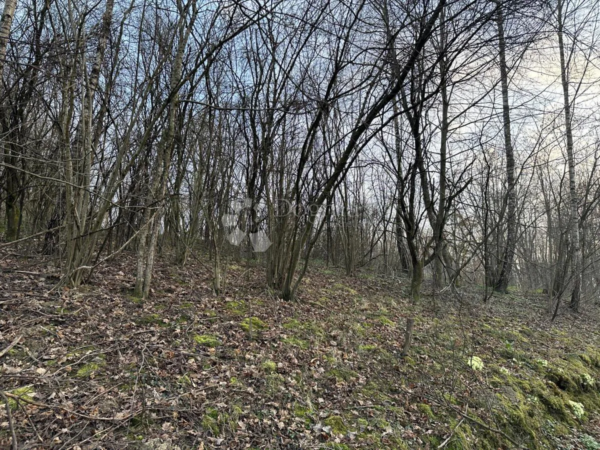 Föld Jazvenik, Sisak - Okolica, 7.715m2