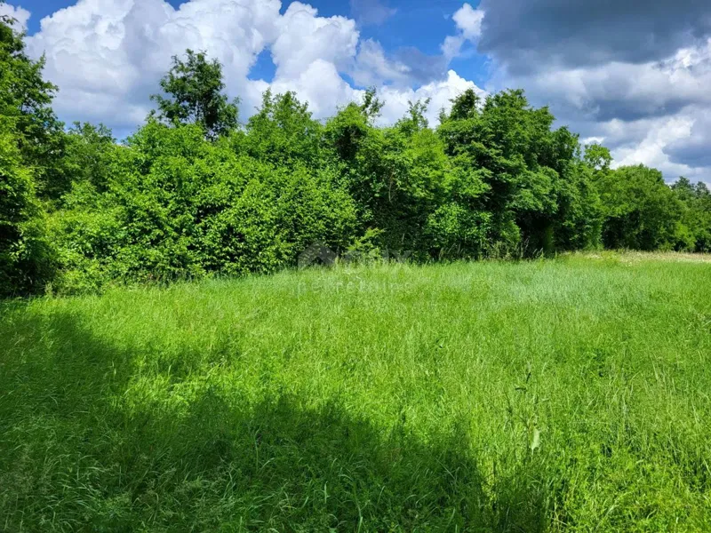Land Barban, 1.785m2 – 3