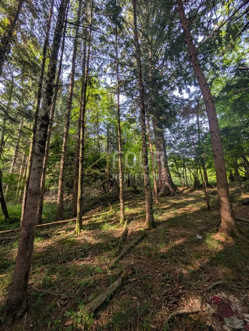 Farma, ziemia rolna o powierzchni 1.908m2 – 2
