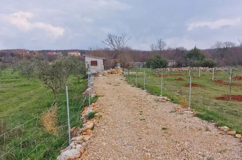 Telek Krk – 3