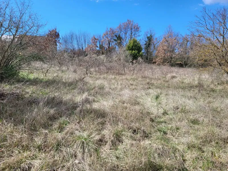 Terreno Svetvinčenat, 3.000m2 – 2