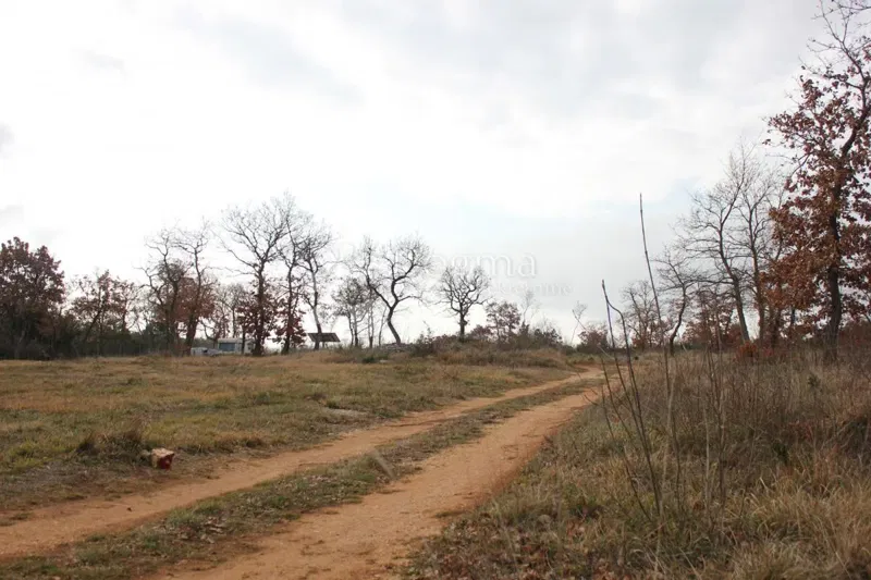 Land Barbariga, Vodnjan, 4.527m2 – 3