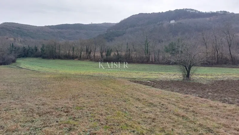 Istria, Motovun - building plot T2, view Motovun – 2