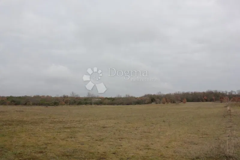 Land Barbariga, Vodnjan, 4.527m2 – 3