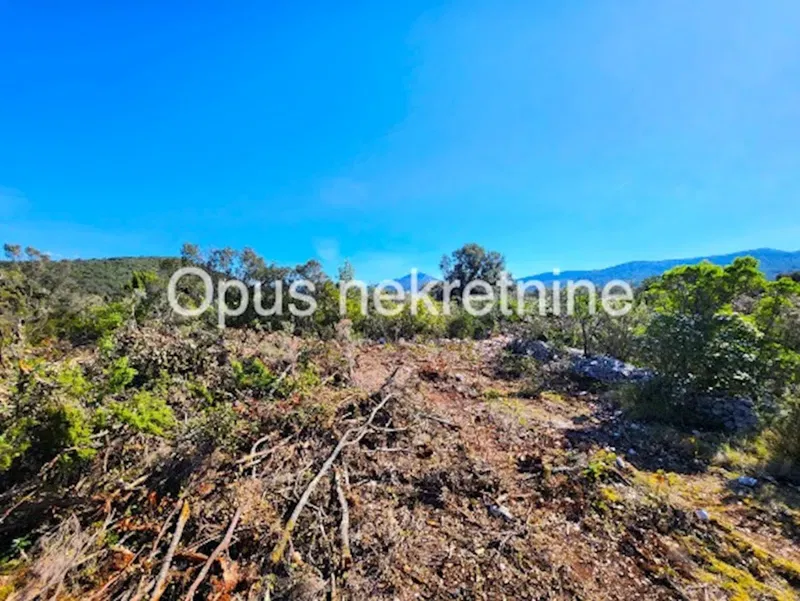 DRAČE, Pelješac - 2 landwirtschaftliche Grundstücke 4666 m2