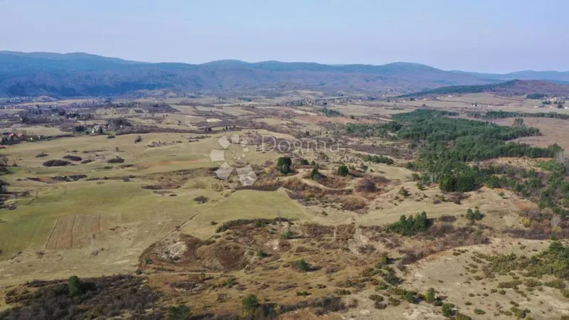 Land Latin, Plaški, 19.000m2 – 3