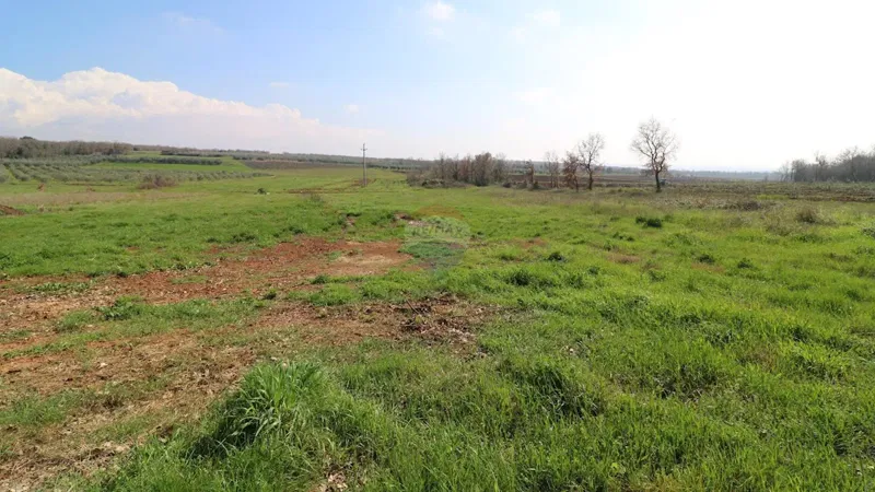 Terreno non edificabile Tar, Tar-Vabriga, 5.677m2 – 3