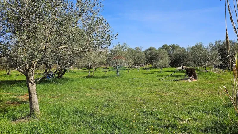 Pozemok Umag – 2