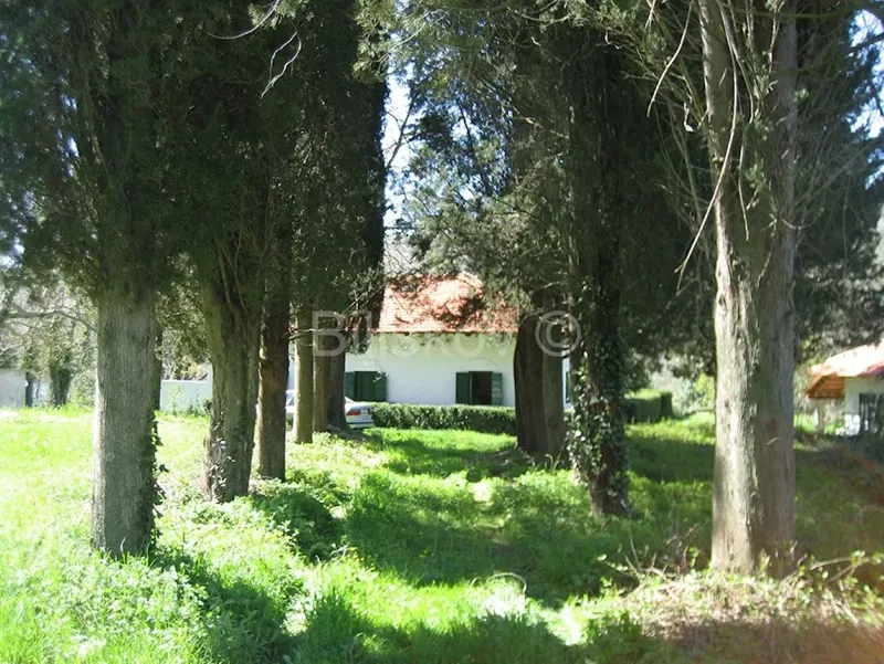Krka National Park long-term rental car access – 2