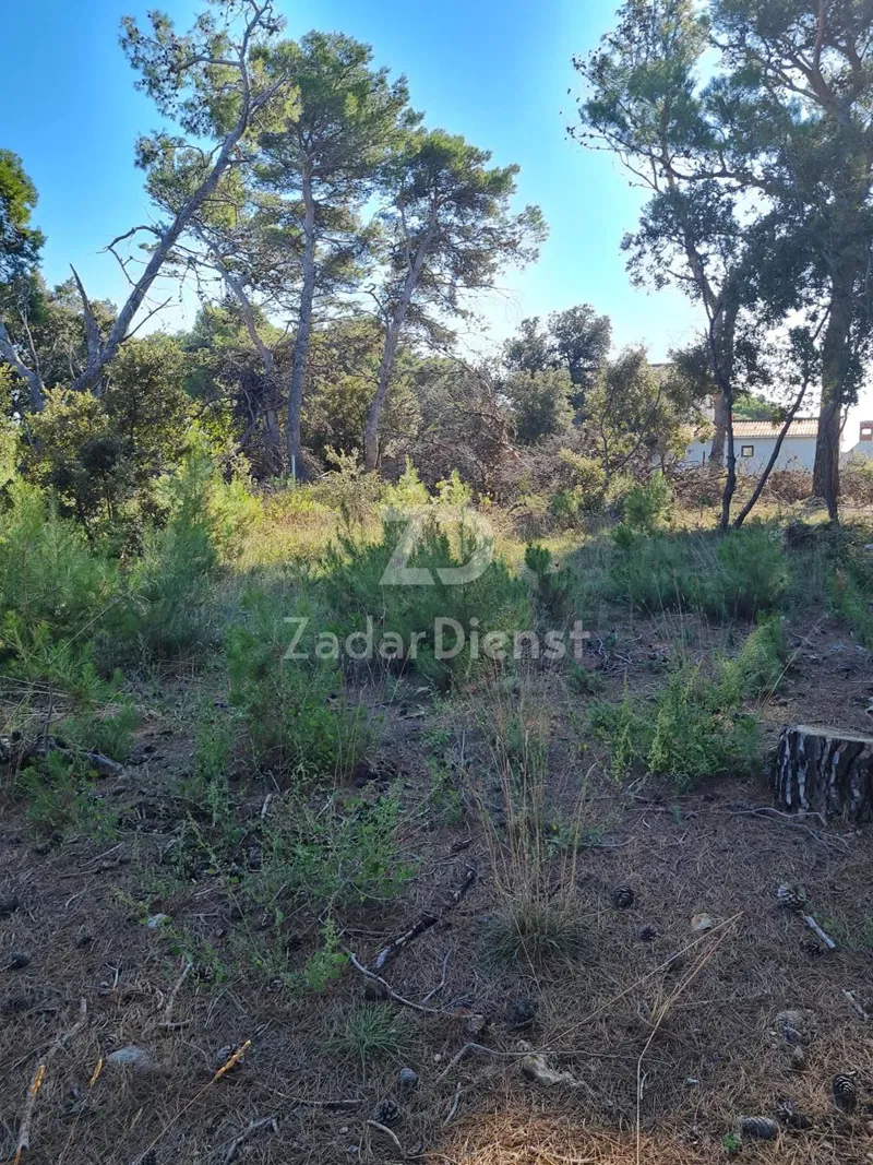 Građevinsko zemljište od 800m2 - Vir – 2