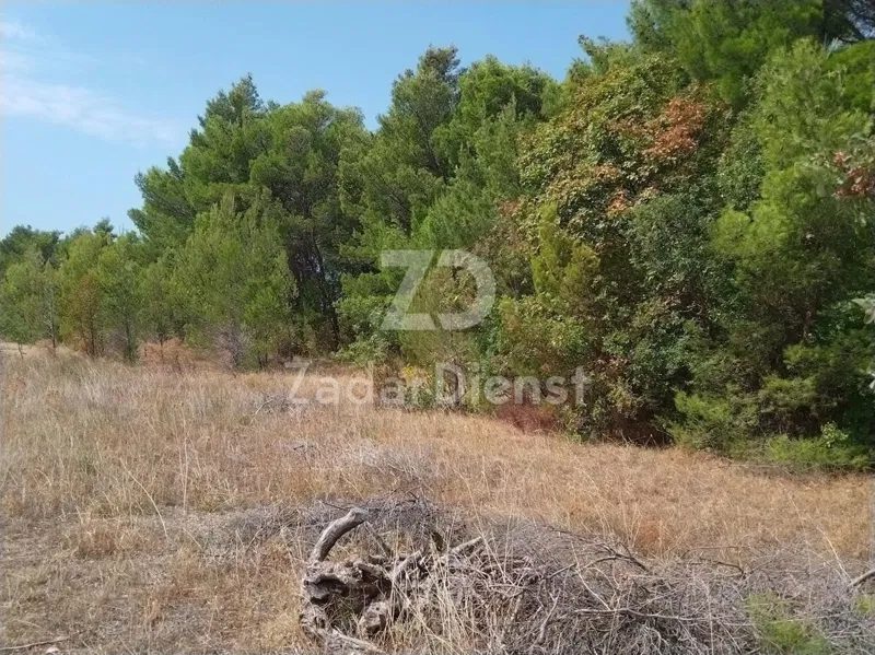 Zemljišče Starigrad – 2