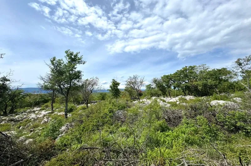 Terreno agrario, per la vendita, Città diKrk, Croazia, 3071 m2, 69.000,00 EUR – 2