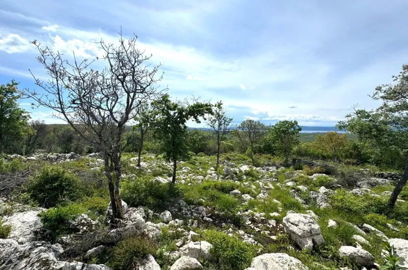 Terreno agrario, per la vendita, Città diKrk, Croazia, 3071 m2, 69.000,00 EUR – 3