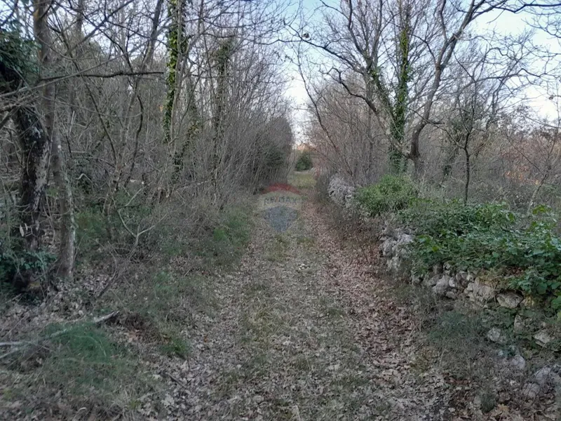 Terreno non edificabile Orbanići, Marčana, 13.704m2 – 2