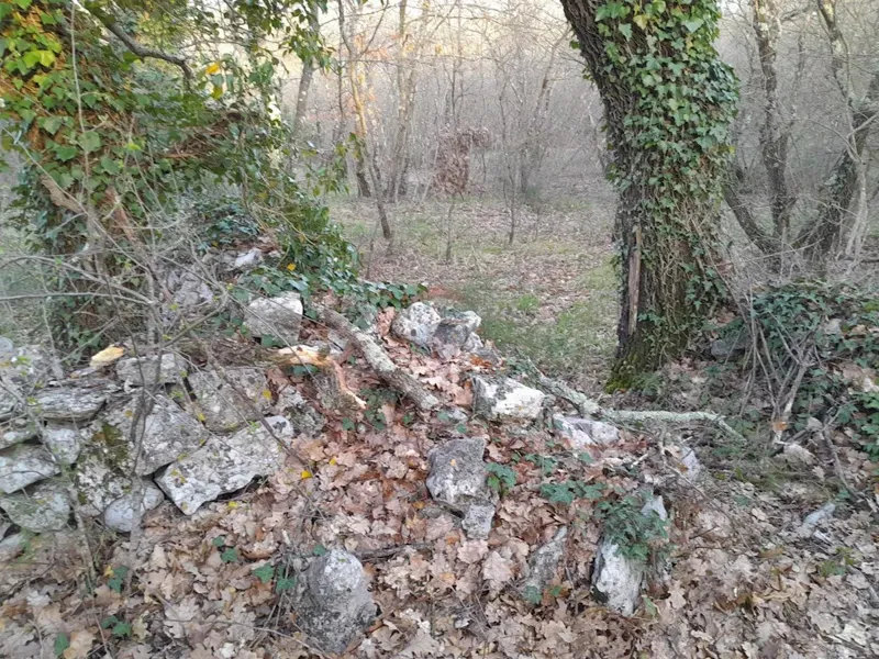 Terreno non edificabile Orbanići, Marčana, 13.704m2 – 3