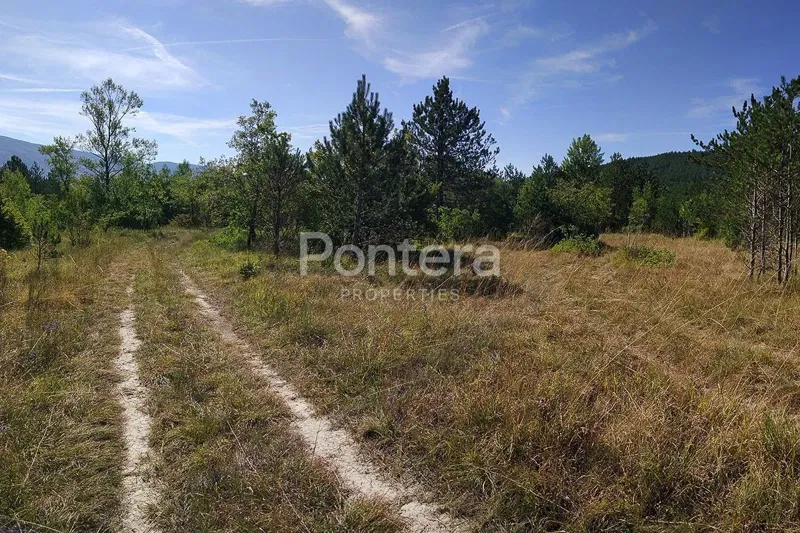 Terreno Šušnjevica, Kršan, 10.136m2 – 2