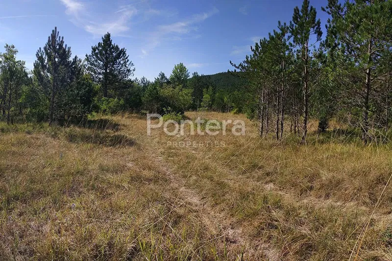 Terreno Šušnjevica, Kršan, 10.136m2 – 3