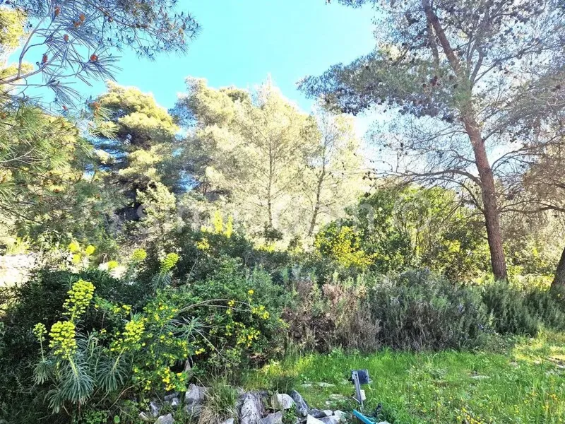 Terreno Okrug Gornji – 3