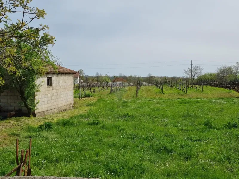 Telek Žminj – 2