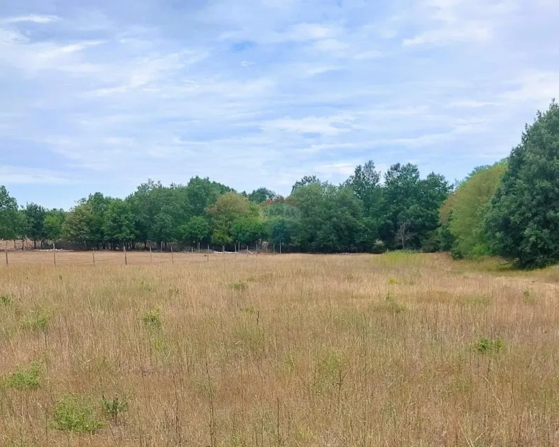 Terreno non edificabile Dračevac, Poreč, 4.815m2 – 2