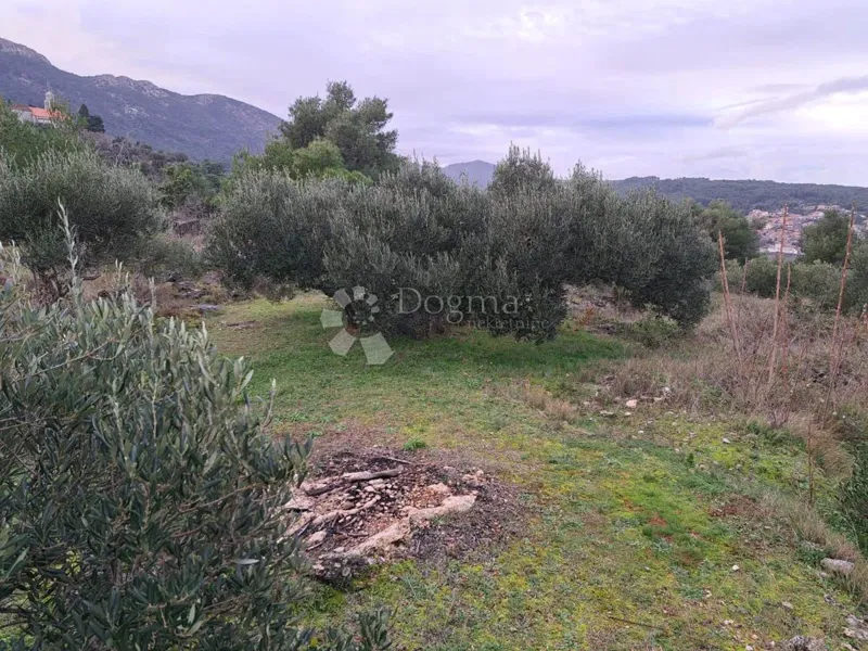 Land Hvar, 9.500m2 – 2