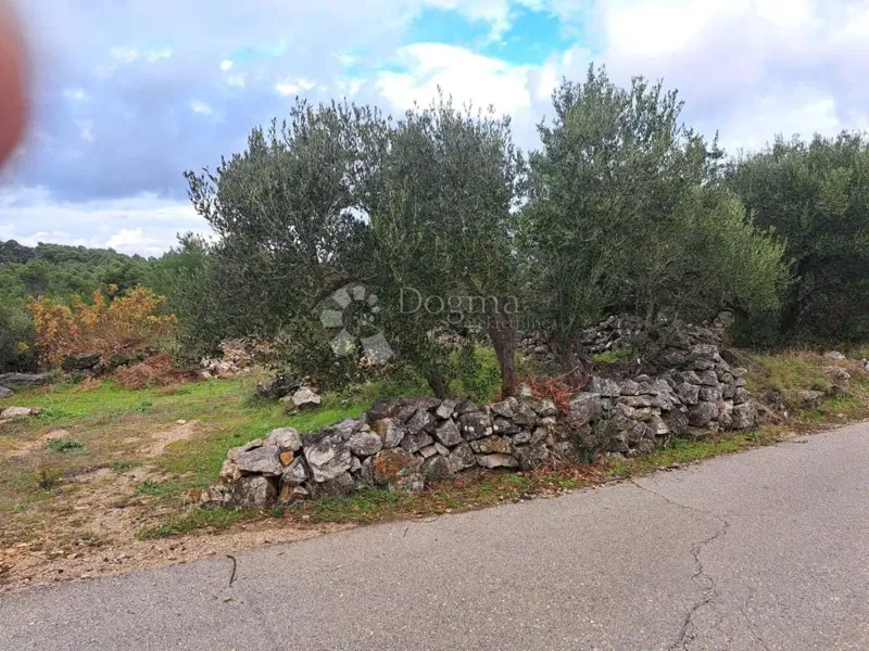 Land Hvar, 9.500m2 – 3