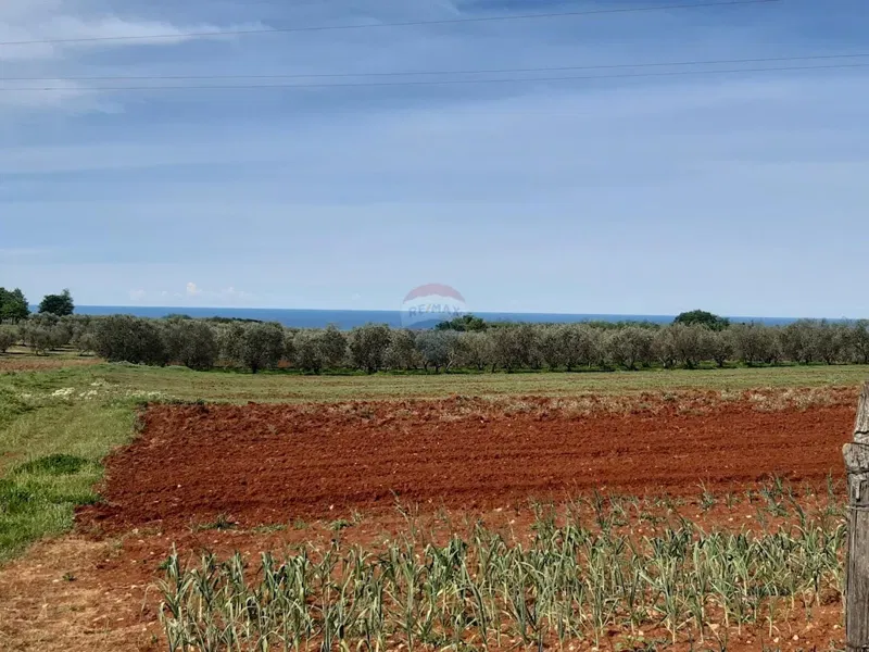 Земельный участок строительного назначения Kaštelir, Kaštelir-Labinci, 918m2 – 2