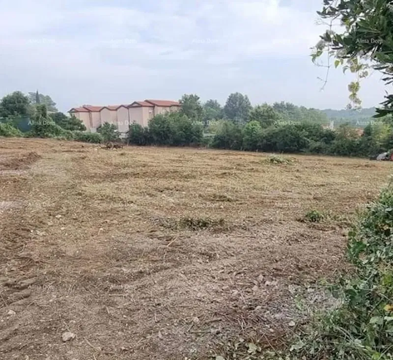 Verteneglio. Terreno edificabile. – 3