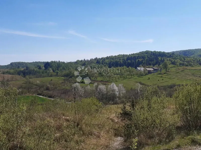 Land Kunić, Plaški, 4.000m2 – 3