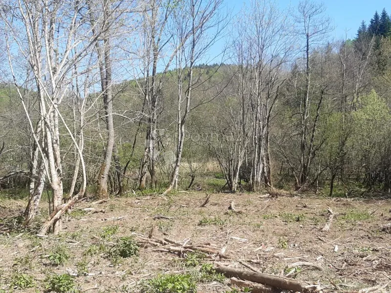 Земля Kunić, Plaški, 4.793m2