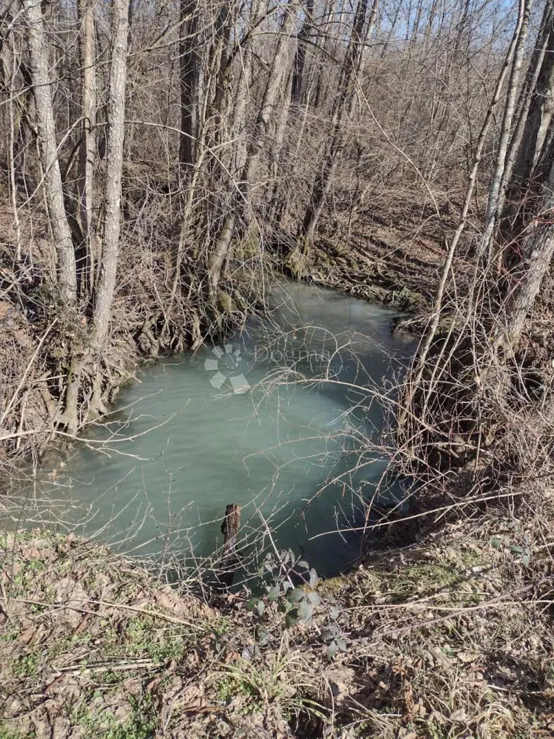 Land Dugo Selo Lasinjsko, Gvozd, 44.198m2 – 2