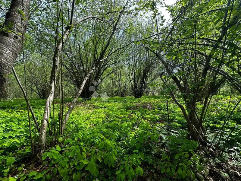 Земля Turanj, Karlovac, 3.404m2 – 3