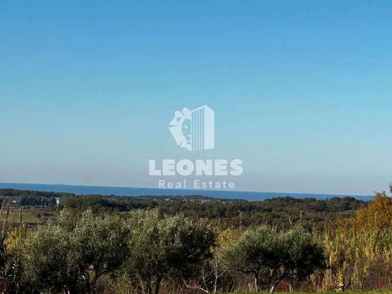 Building land with a beautiful view of the sea and an olive grove in Buje – 2