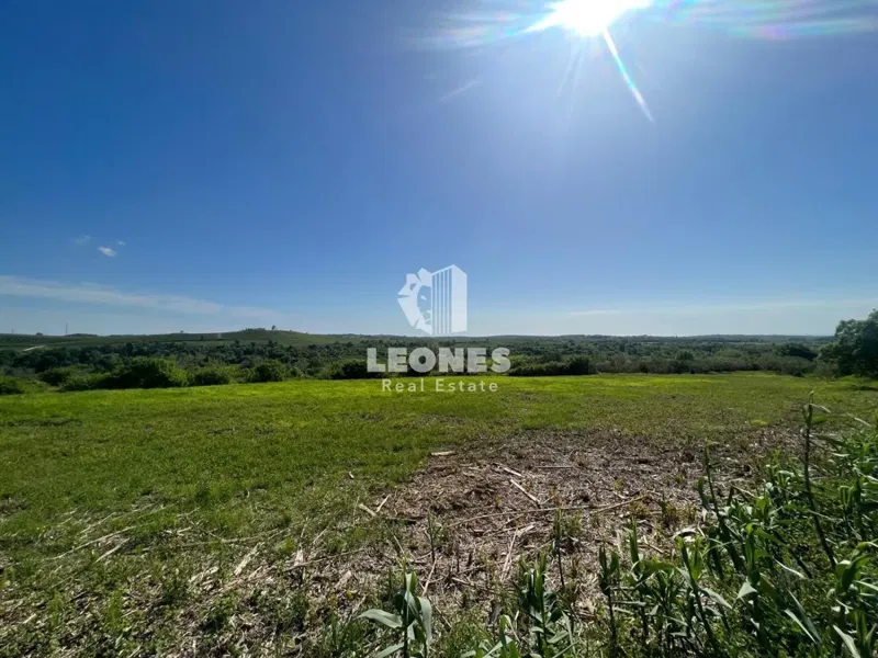 Building land with a beautiful view of the sea and an olive grove in Buje – 3