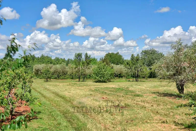 Działka Kaštelir – 3
