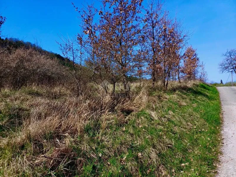 ISZTRIA, BUZET - Mezőgazdasági földterület eladó – 2