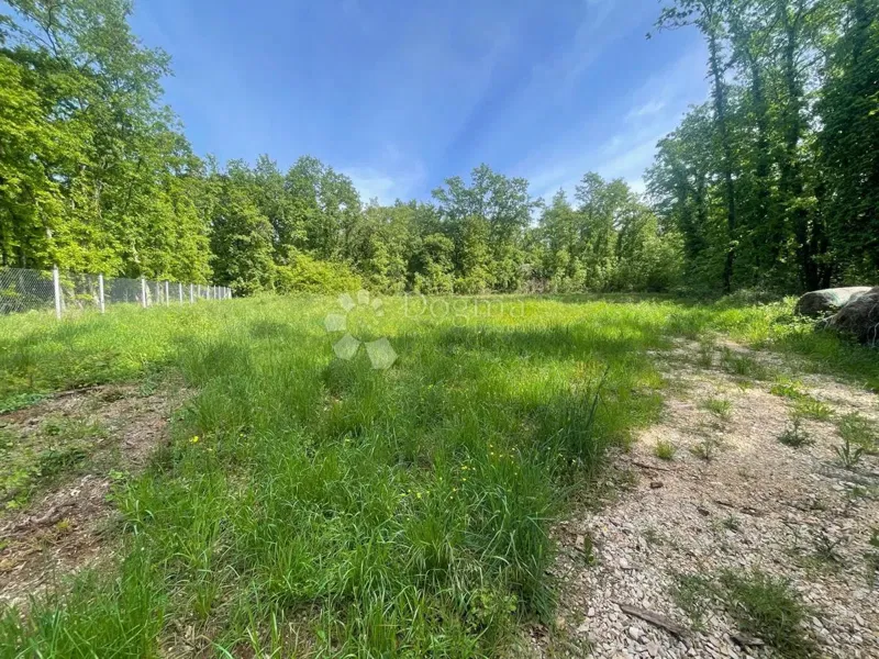 Föld Brtonigla, 1.236m2 – 3