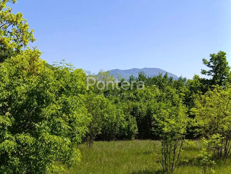Föld Lupoglav, 1.999m2