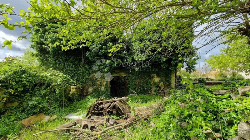 Föld Štokovci, Svetvinčenat, 120m2 – 3